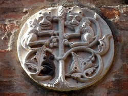 Patera, Calle Drio El Magazen, Venice